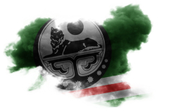 Чеченский-флаг-13