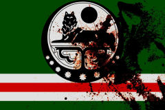 Чеченский-флаг-14