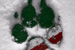 Чеченский-флаг-78