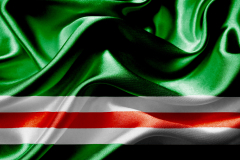 Чеченский-флаг-82