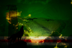 Чеченский-флаг-87